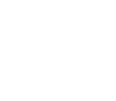 washburn logo